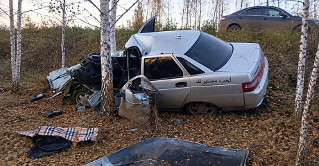 В Кормиловском районе произошло смертельное ДТП